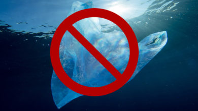 plastic-bag-ban