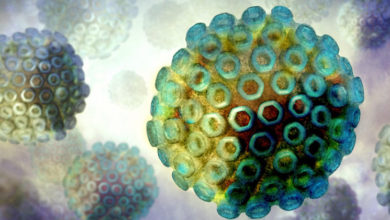 Rift valley virus