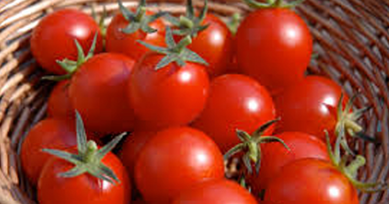 tomato