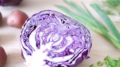 violet cabbage