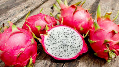 dragon fruit