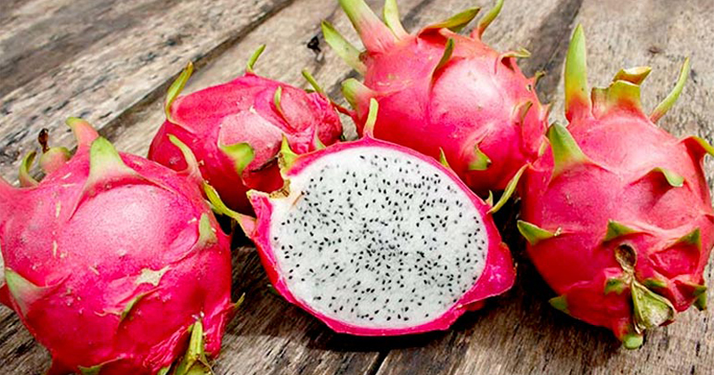 dragon fruit