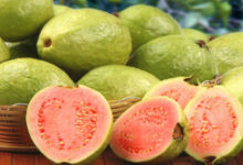 guava fruit