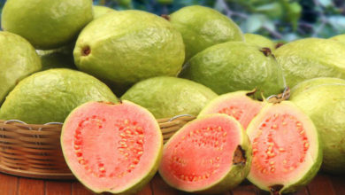 guava fruit