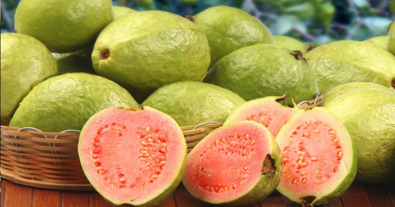 guava fruit