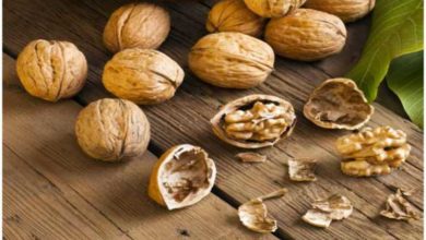 Australian walnuts set to enter Indian market