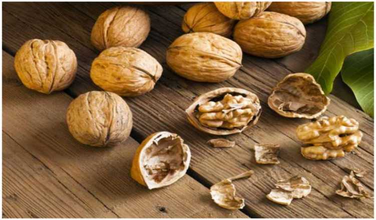 Australian walnuts set to enter Indian market