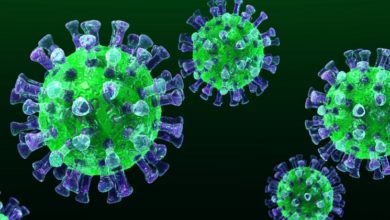 mers virus