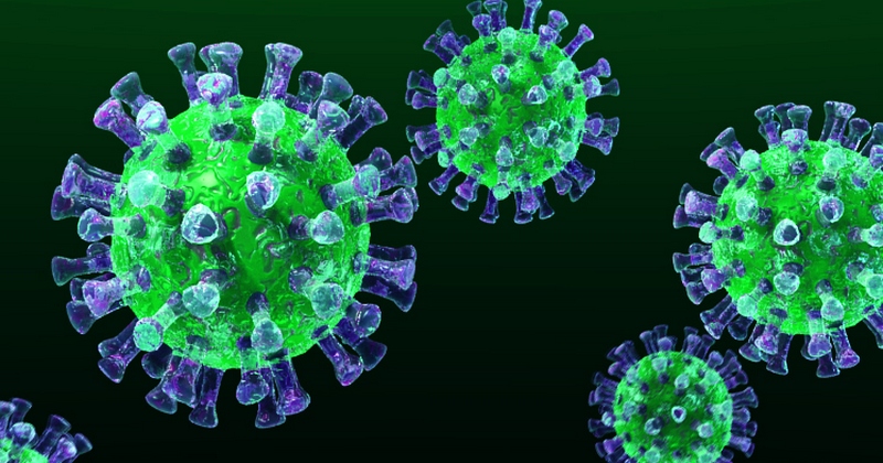 mers virus