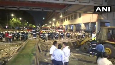 bridge collapse