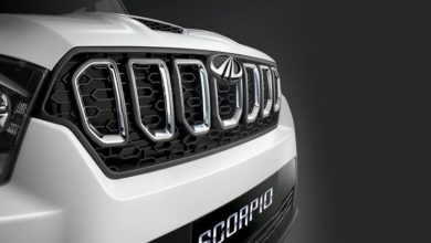 Scorpio grill