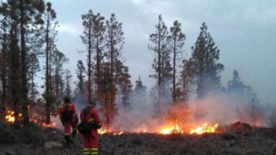 China wild fire