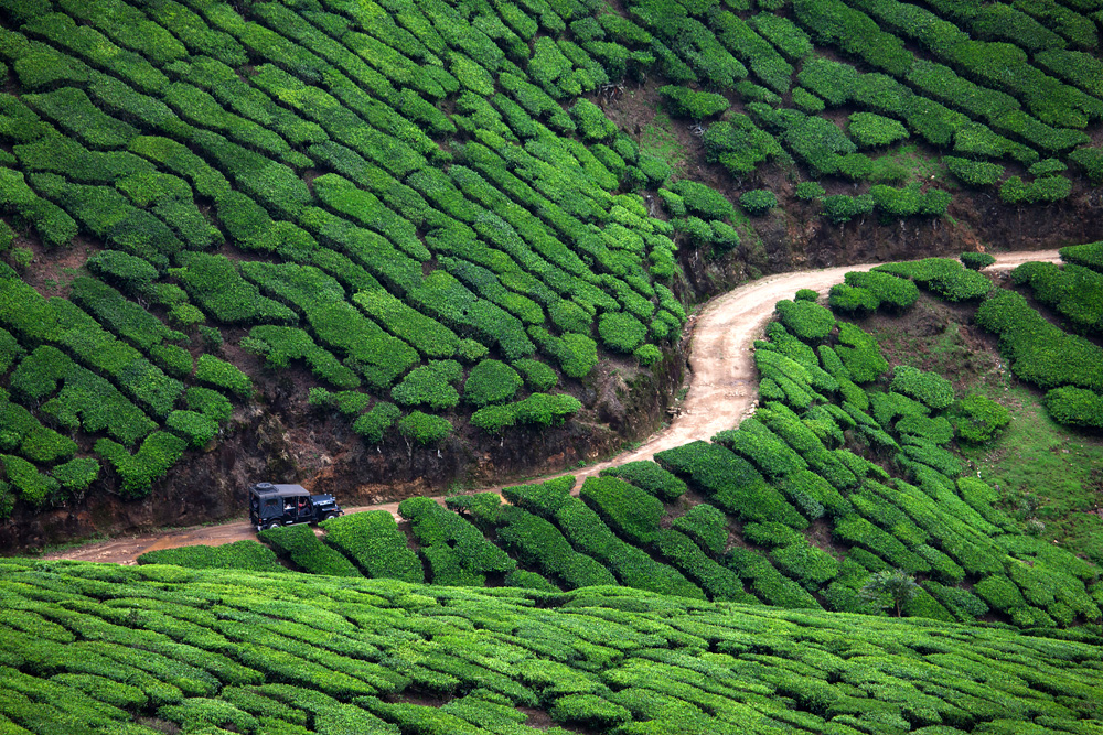 Munnar