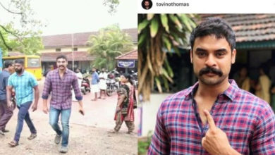 tovino