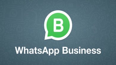 whats app business