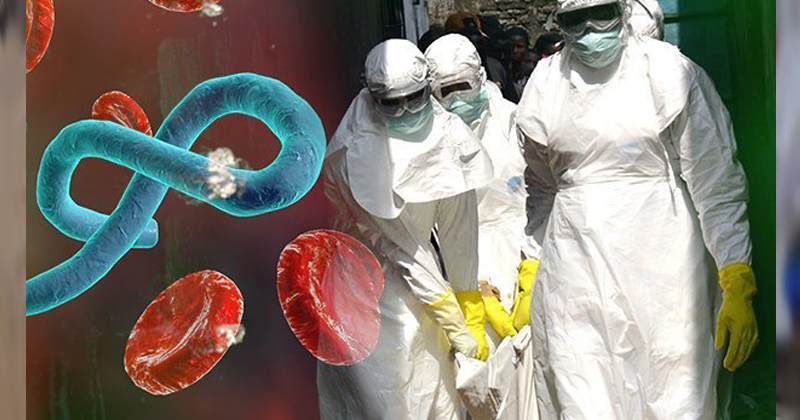 ebola final