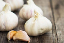 garlic