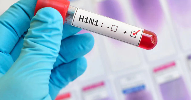 h1 n1