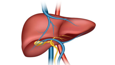 Liver-Trans