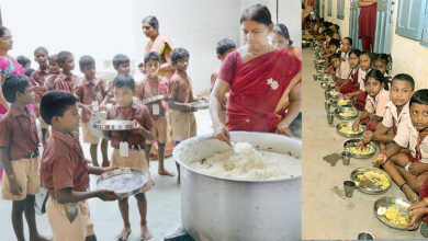 school meal project