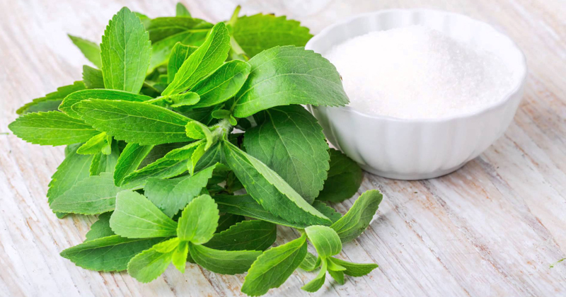 stevia