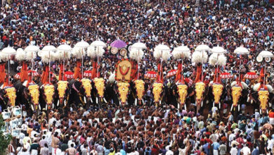 thrissur pooram