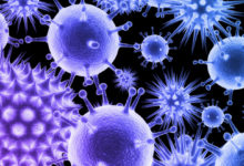 virus