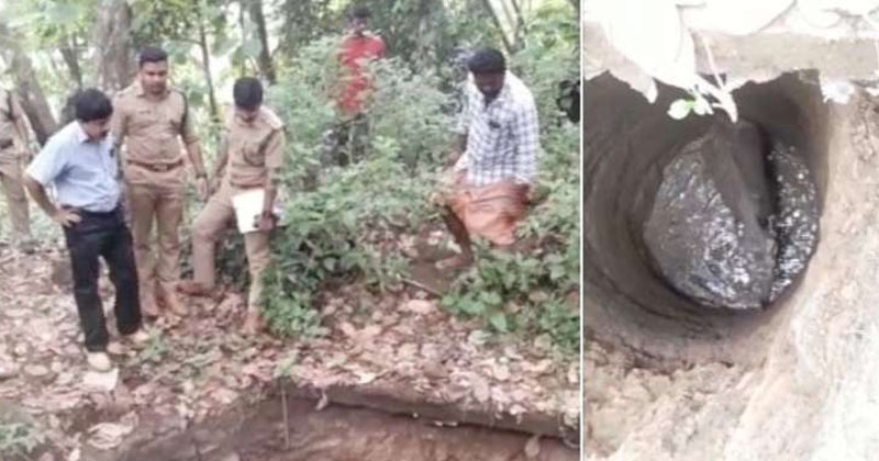 elephant resued from water well