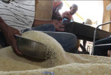 fake Ration Card