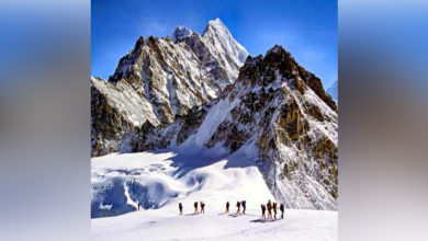 himalayan