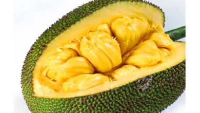 Jack fruit