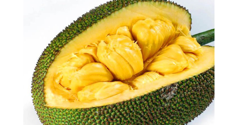 Jack fruit