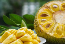 Jackfruit