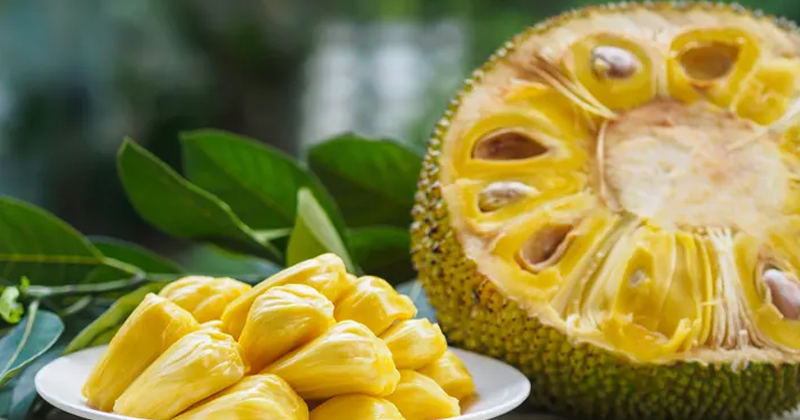 Jackfruit