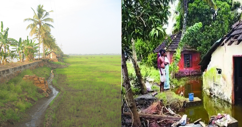 kuttanad