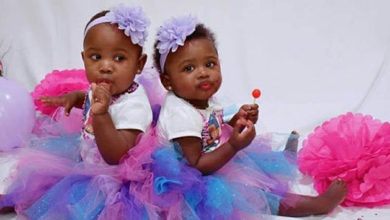 twins murder