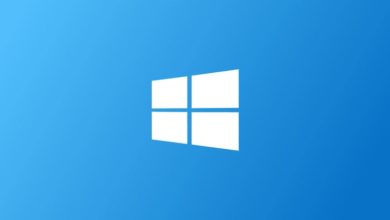 WINDOWS LOGO