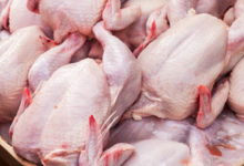 chicken