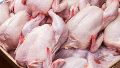 chicken