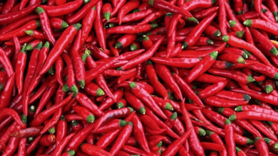 Chilli