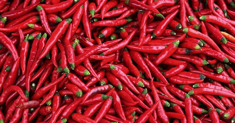 Chilli