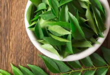 Curry Leaves