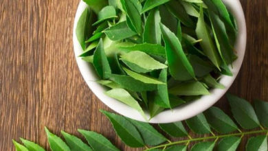 Curry Leaves