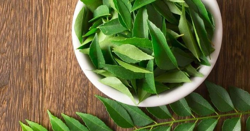 Curry Leaves