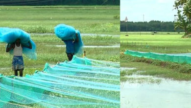 fish farm