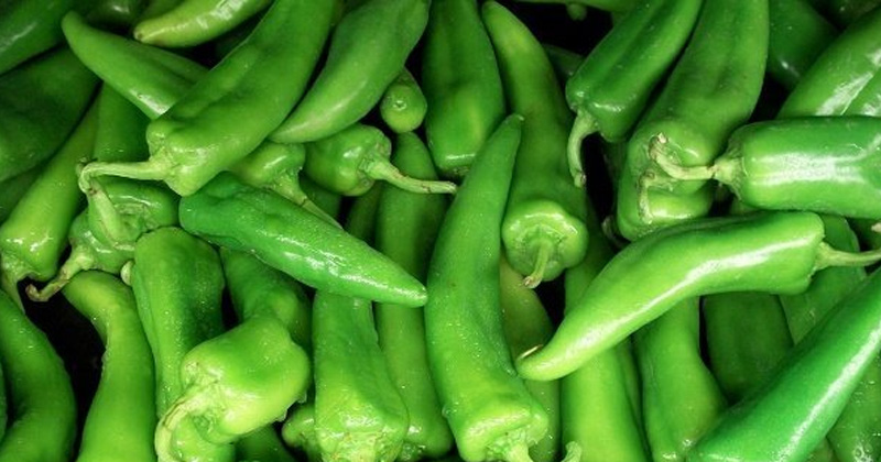 Green Chillies