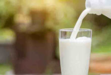 milk