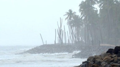 Sea Erosion