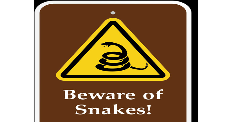 Snake Alert