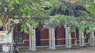 university college